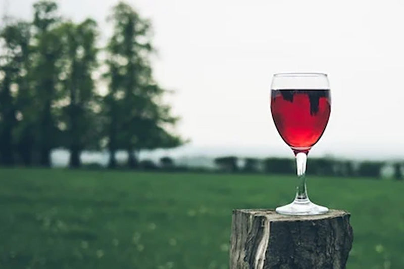 Luxury Wine Gifts That Are Guaranteed to Impress