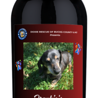 Doxie Rescue | Frankie's Terra D'Oro Zinfandel