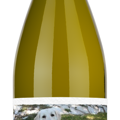 Howl-o-ween Pet Photo Label - Personalized Halloween Wine