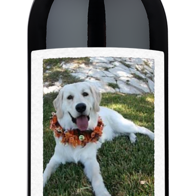 Howl-o-ween Pet Photo Label - Personalized Halloween Wine