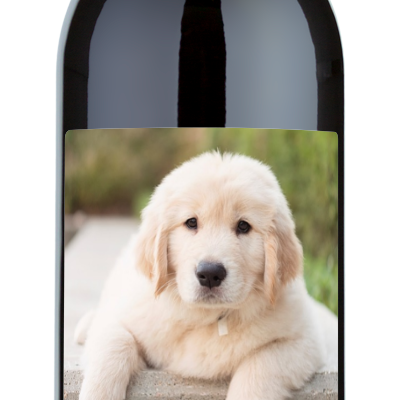 Pet Label - Personalized Wine