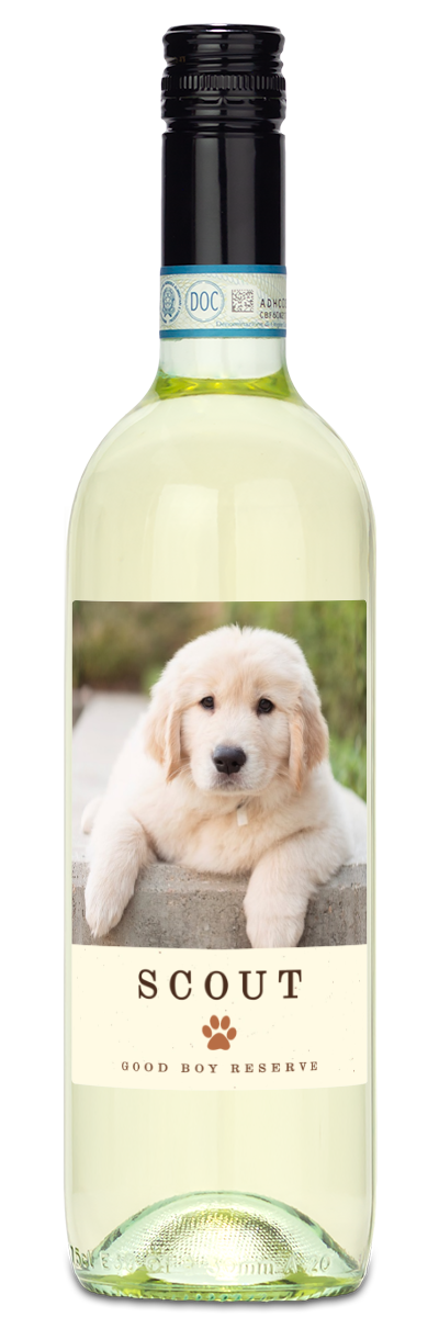 Pet Label - Personalized Wine