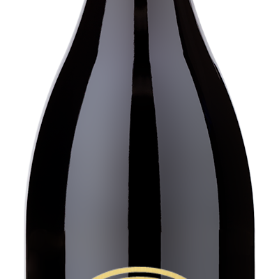 A dark 2023 Bergstrom Estate Dundee Hills Pinot Noir by BergstromVineyard—ideal as a custom wine gift.