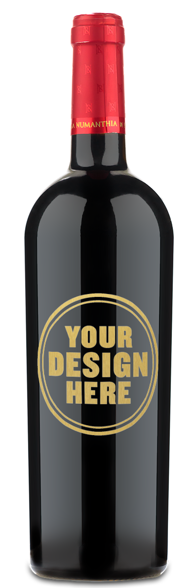 Bodega Numanthia 'Termes' Tinto del Toro