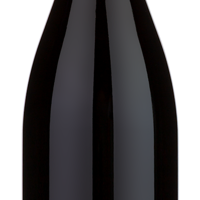 A 2023 Joseph Faiveley Bourgogne Pinot Noir wine bottle with a red foil top and a white label.