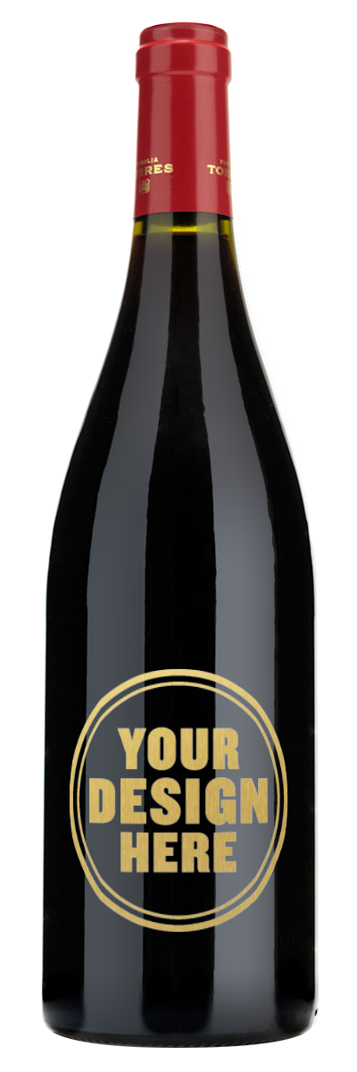 Familia Torres Salmos Priorat