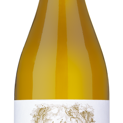 Familia Torres Pazo das Bruxas Albarino