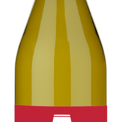 McBride Sisters Marlborough Sauvignon Blanc