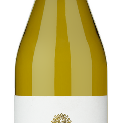 McBride Sisters Marlborough Sauvignon Blanc