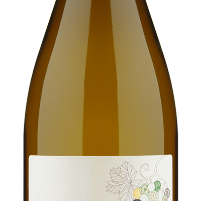 Recanati Chardonnay
