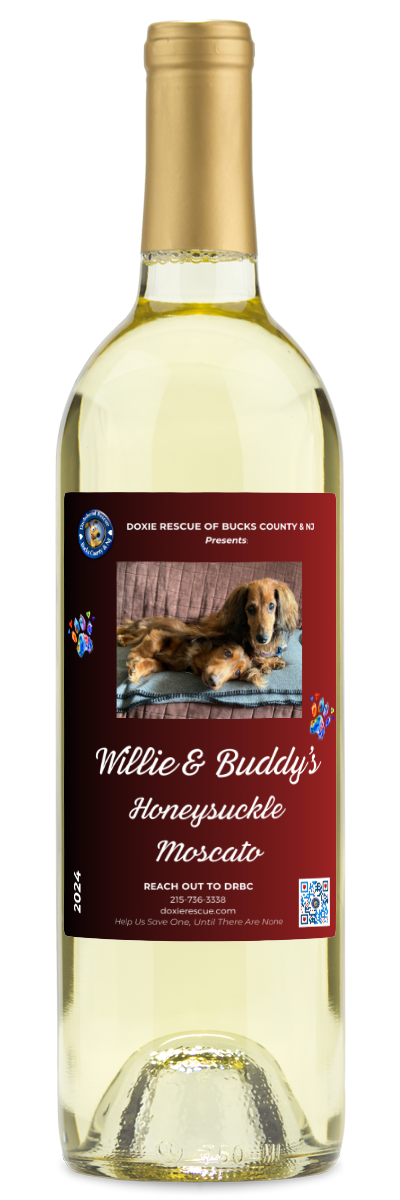 A wine bottle labeled Doxie Rescue | Willie & Buddys Honeysuckle Moscato by personalwine, with a dachshund on a rug.