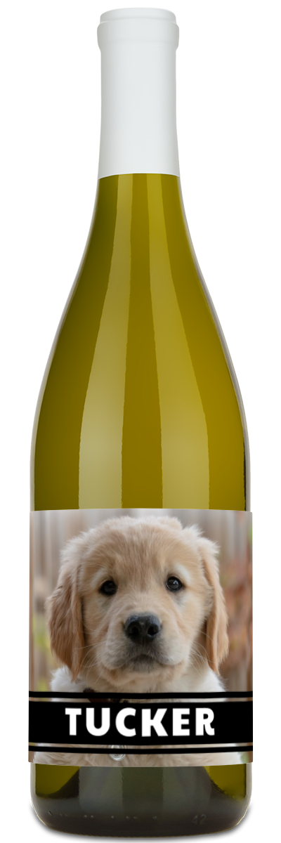 The personalwine Pet Photo Label - Personalized Wine features a golden retriever puppy and TUCKER in bold white letters.