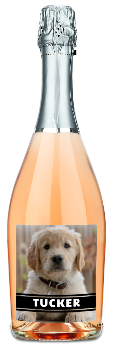 Personalwine’s Pet Photo Label - Personalized Wine features your custom pet photo and name, e.g., a golden retriever puppy, TUCKER.