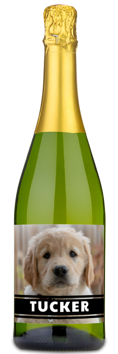 A Pet Photo Label - Personalized Wine by personalwine featuring a golden retriever puppy and the name Tucker.