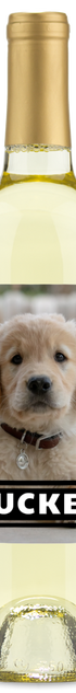 Personalwines Pet Photo Label - Personalized Wine with a golden retriever puppy and TUCKER in bold white letters.