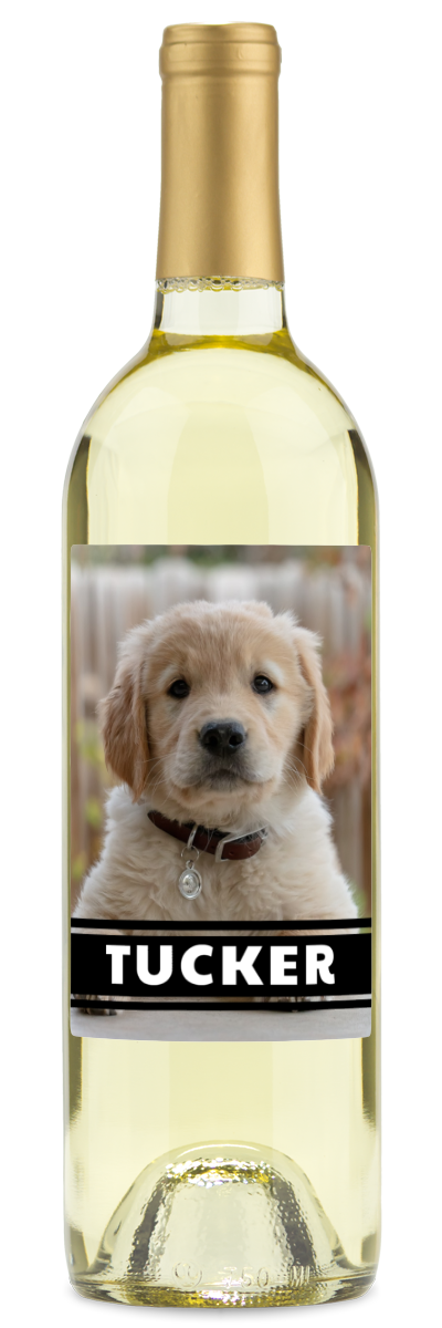 Personalwines Pet Photo Label - Personalized Wine with a golden retriever puppy and TUCKER in bold white letters.