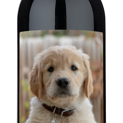 Personalwine Pet Photo Label - Personalized Wine with a golden retriever puppy and TUCKER in bold white letters.