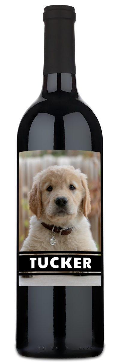 Personalwine Pet Photo Label - Personalized Wine with a golden retriever puppy and TUCKER in bold white letters.