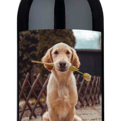 Pet Private Reserve Label - Personalized Wine