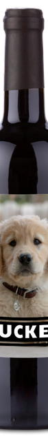 Create a personalwine Pet Photo Label - Personalized Wine featuring your golden retriever puppy and TUCKER in bold.