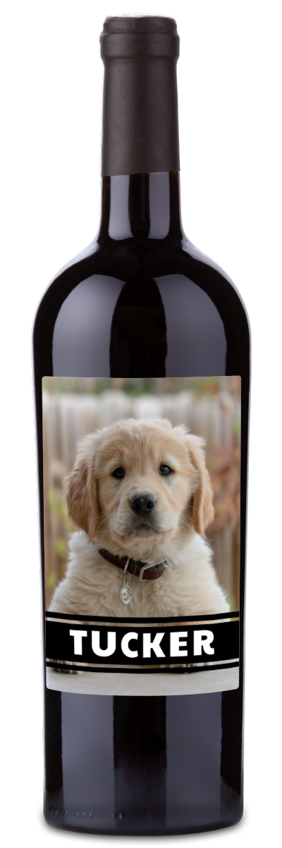 Create a personalwine Pet Photo Label - Personalized Wine featuring your golden retriever puppy and TUCKER in bold.