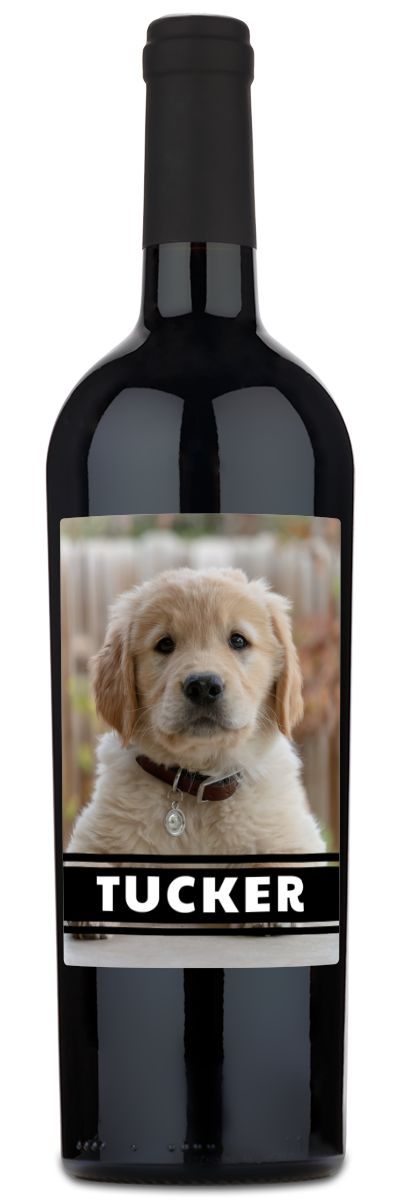 Personalwine’s Pet Photo Label - Personalized Wine features a golden retriever puppy and TUCKER in bold white letters.