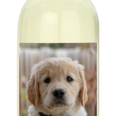 Personalwine’s Pet Photo Label - Personalized Wine features a golden retriever puppy and TUCKER in bold white letters.