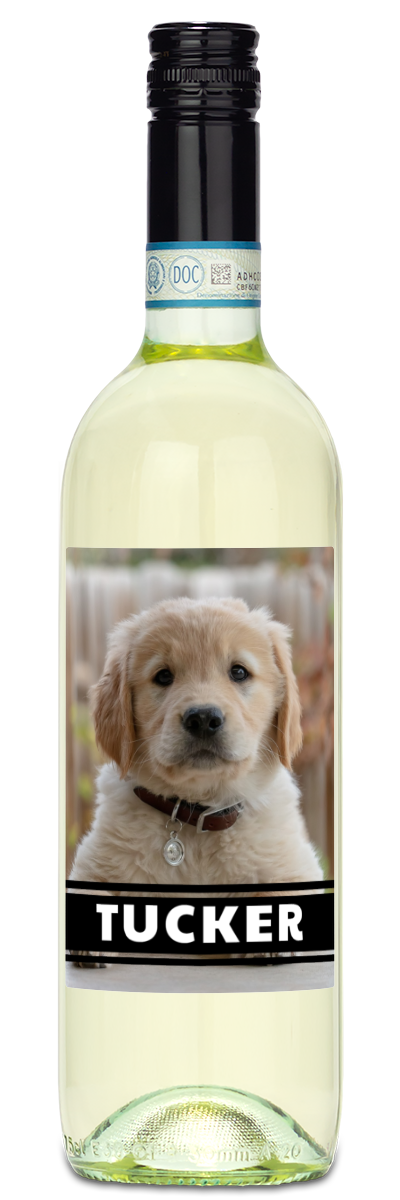 Personalwine’s Pet Photo Label - Personalized Wine features a golden retriever puppy and TUCKER in bold white letters.