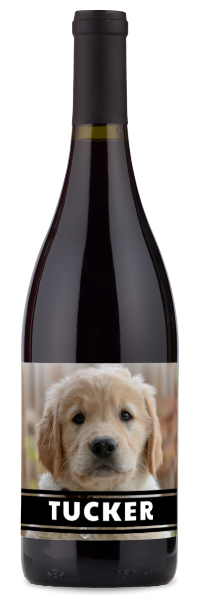 Personalwines Pet Photo Label - Personalized Wine featuring a golden retriever puppy and TUCKER in bold white letters.