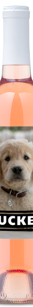 Personalwine Pet Photo Label - Personalized Wine with a golden retriever puppy and Tucker on the label.