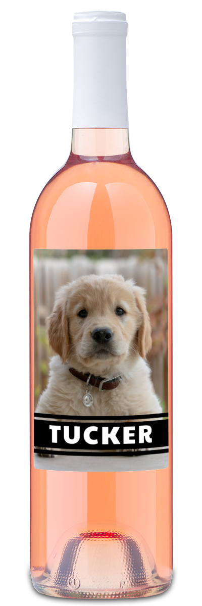 Personalwine Pet Photo Label - Personalized Wine with a golden retriever puppy and Tucker on the label.
