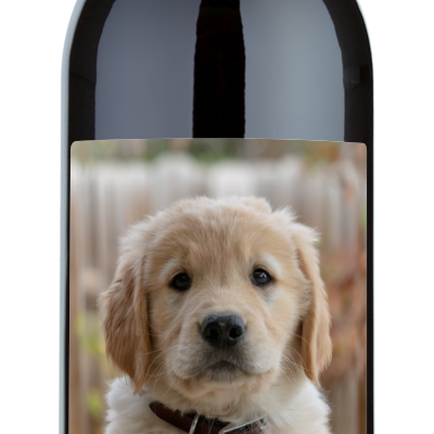 The personalwine Pet Photo Label - Personalized Wine features a golden retriever puppy and TUCKER in bold white letters.