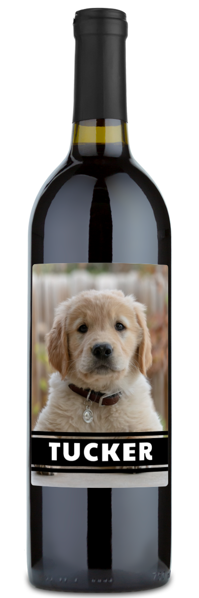 The personalwine Pet Photo Label - Personalized Wine features a golden retriever puppy and TUCKER in bold white letters.