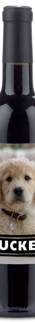 The personalwine Pet Photo Label - Personalized Wine features a golden retriever puppy and TUCKER in bold white letters.